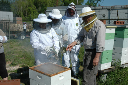 Group of Students Inspecting Hive